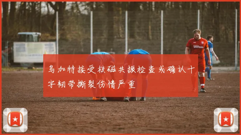 乌加特接受核磁共振检查或确认十字韧带撕裂伤情严重