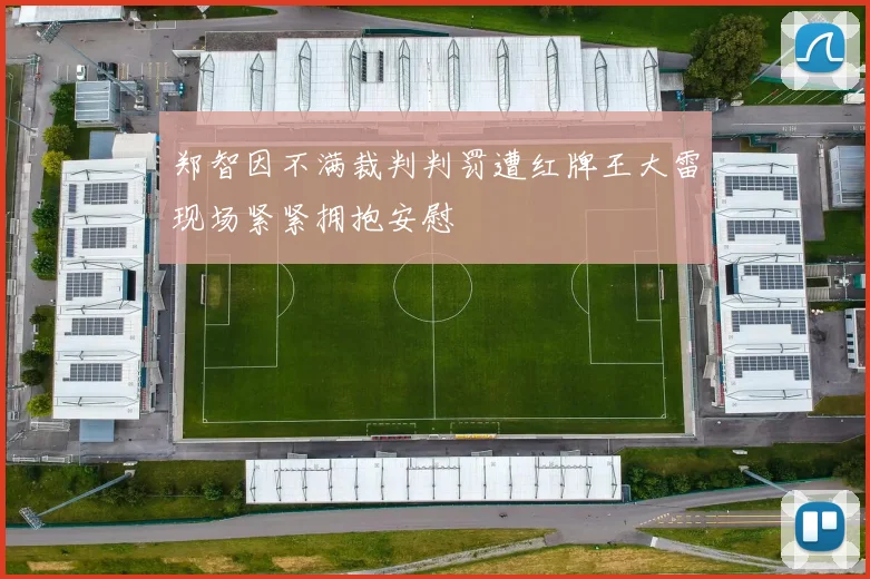 郑智因不满裁判判罚遭红牌王大雷现场紧紧拥抱安慰