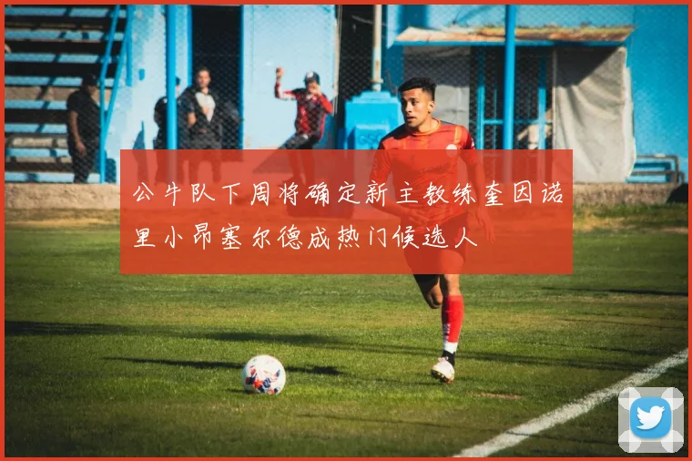 公牛队下周将确定新主教练奎因诺里小昂塞尔德成热门候选人
